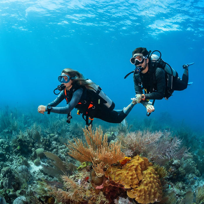 Product Details - DRY COMFORT - Dive Gloves 4mm