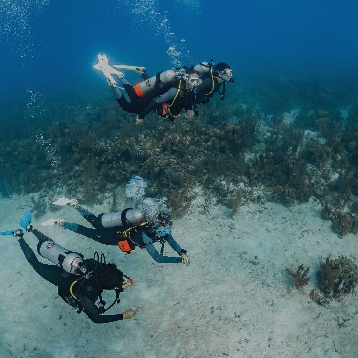 Ocean Ambassadors